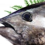 マグロの兜