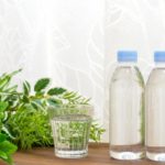 基礎代謝を上げる飲み物